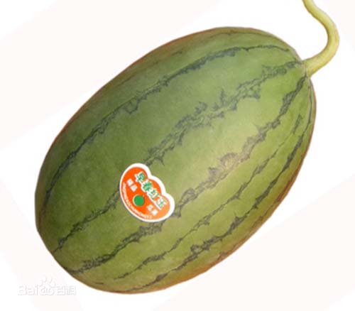 Ϋ